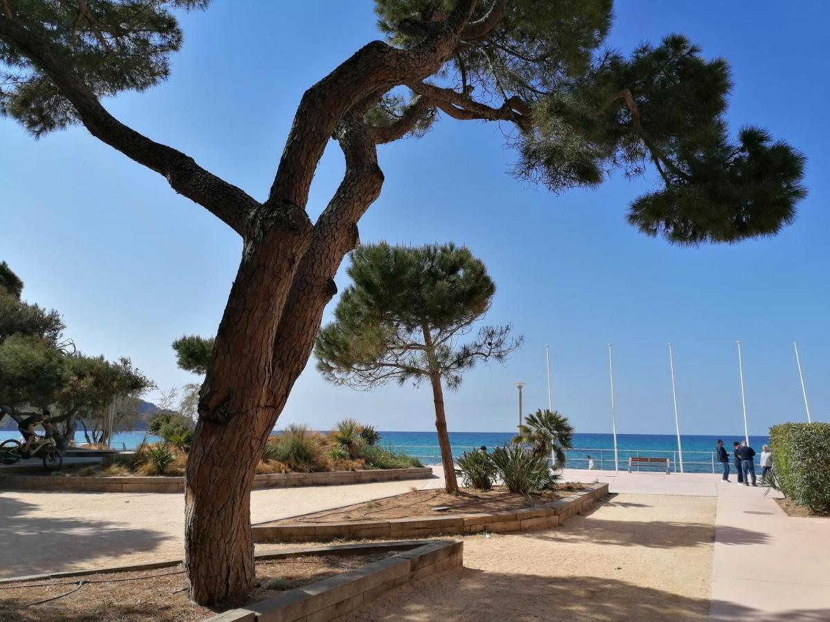 3 Min A Pieds & 200 M De La Grande Plage Des Lecques - Terrasse Et Jardin - Fabuleux T2 - Carre D'Or Saint-Cyr-sur-Mer Bagian luar foto